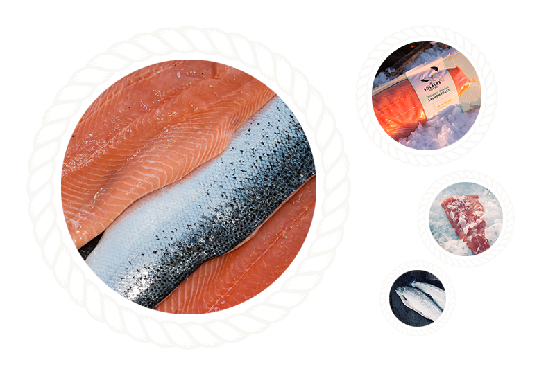 images of sulaire scottish salmon side fillets on ice for products page