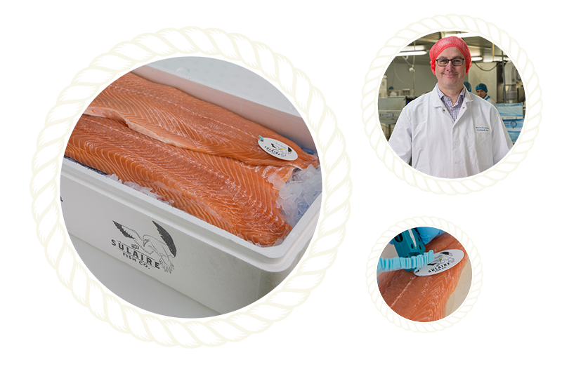 images of sulaire branded scottish fish products with logo tags on ice in branded cool box for product diversity page