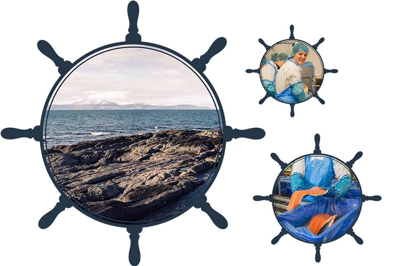 images of island landscape and salmon in ships wheel border for eco-conscious page